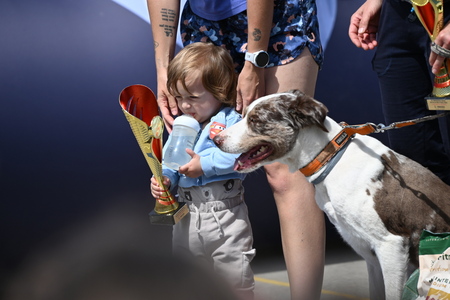 Uspešno izveden 36. Mekinjski kros  (42)